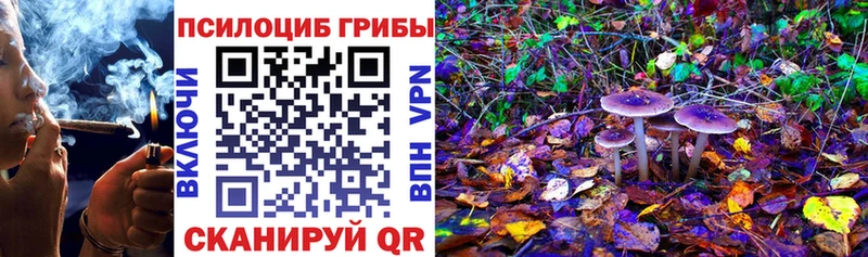 Галлюциногенные грибы ЛСД  где найти наркотики  Чапаевск 
